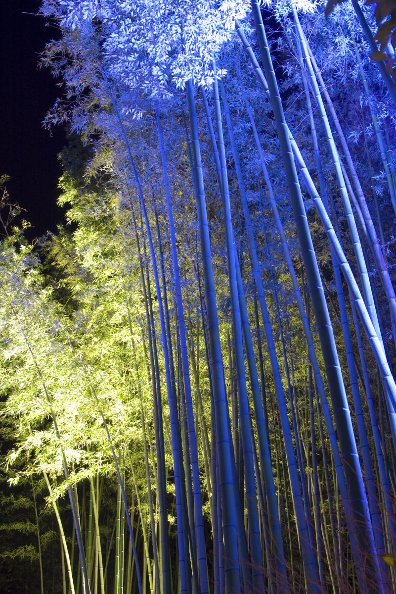 GREEN ＆ Blue | GANREF