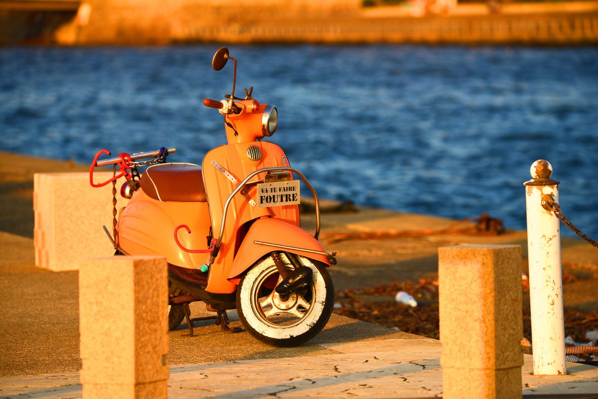 湘南っぽい GANREF