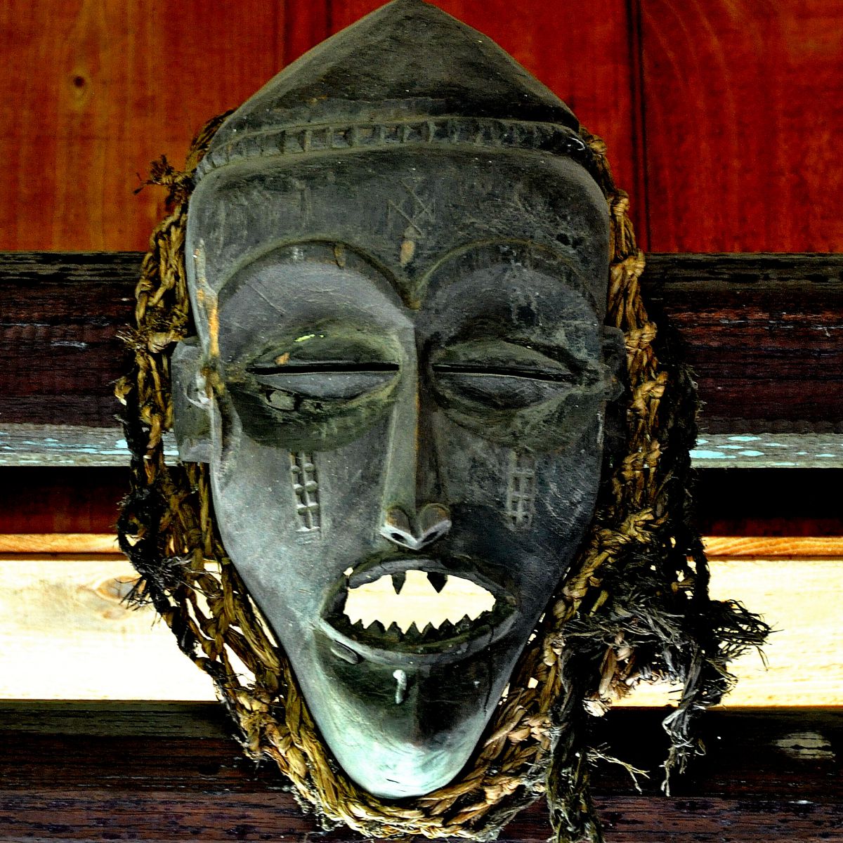 face | GANREF