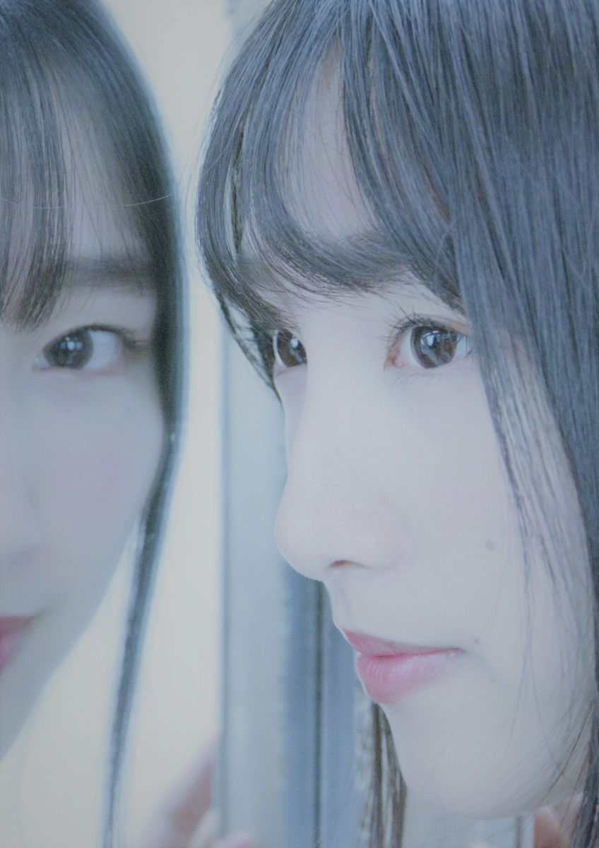 reflection | GANREF