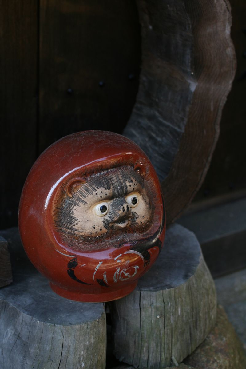 たぬきダルマ、、、？ | GANREF