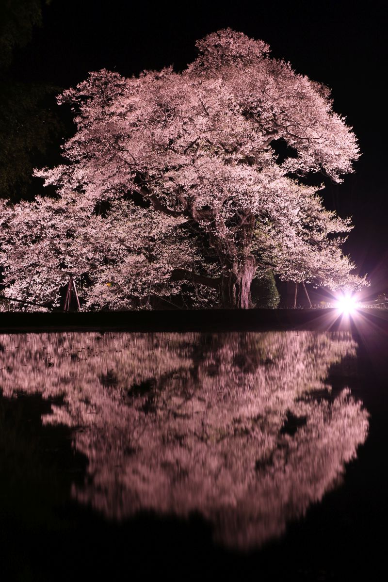 鏡花水月の夜 | GANREF