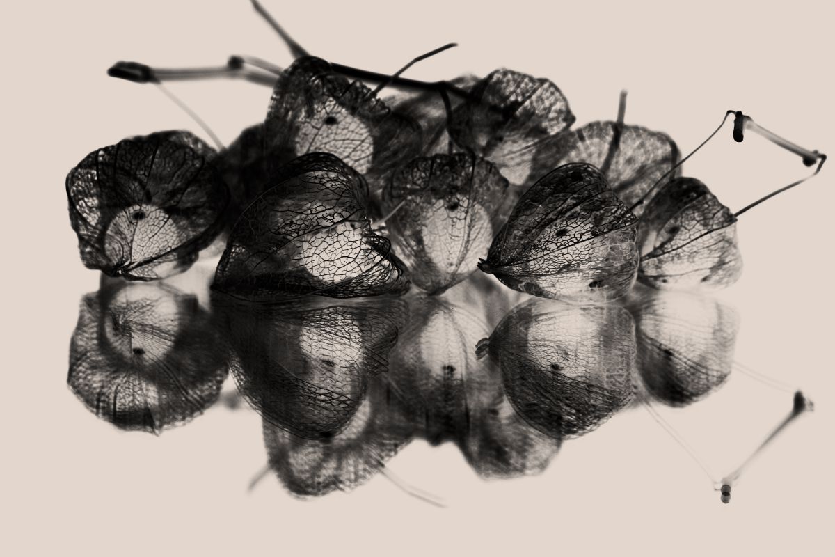 デッサン デモスト #デッサン #鉛筆 #鉛筆デッサン #dessin #石膏 #石膏像