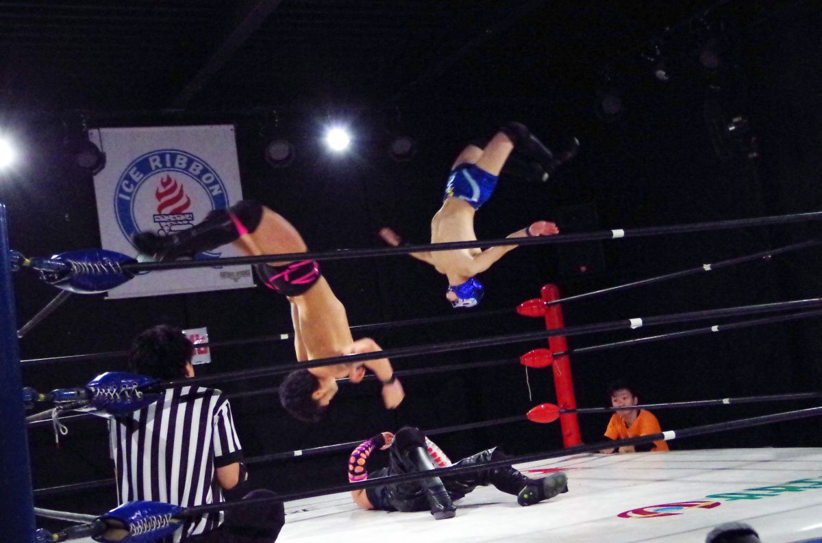 Wブファドーラ GANREF