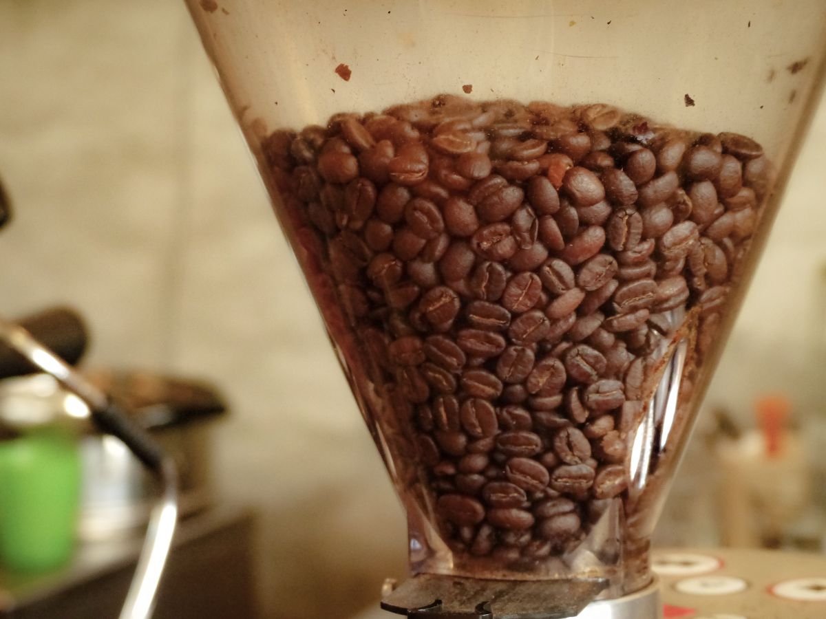 coffee | GANREF