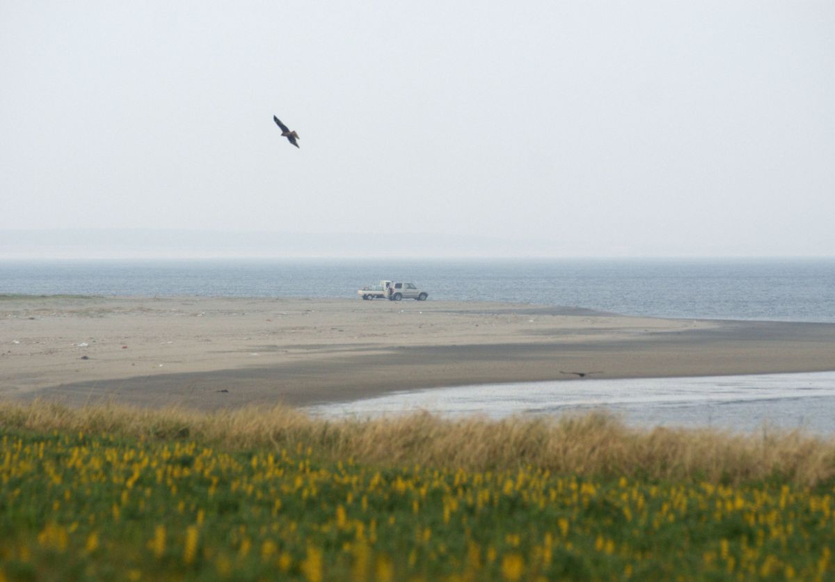 潮風に吹かれて GANREF