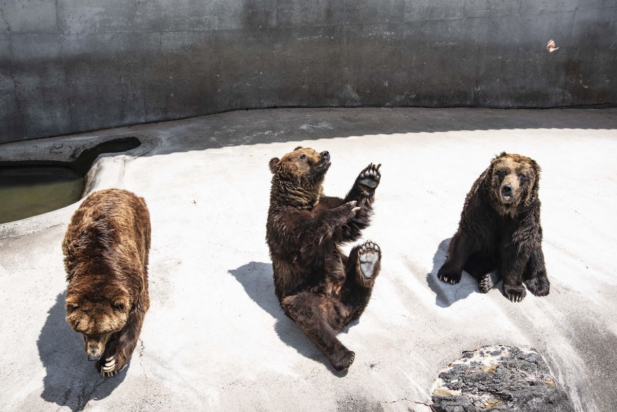 f862404926f210c852689bda6f104e