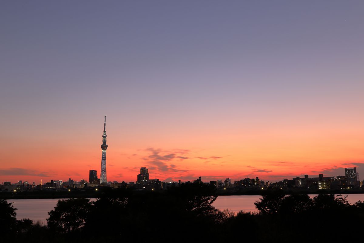 秋の夕暮れ 秋は夕暮れ | GANREF