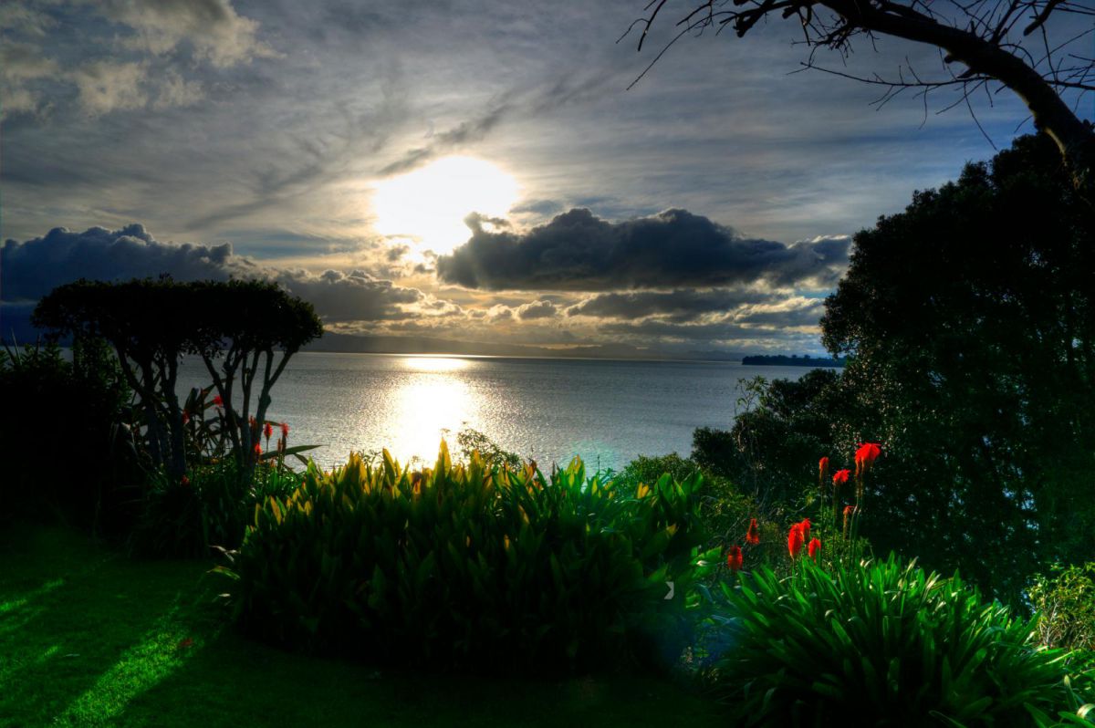 the sunset from a garden | GANREF