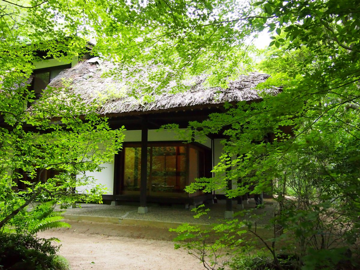 新緑の天山文庫 GANREF