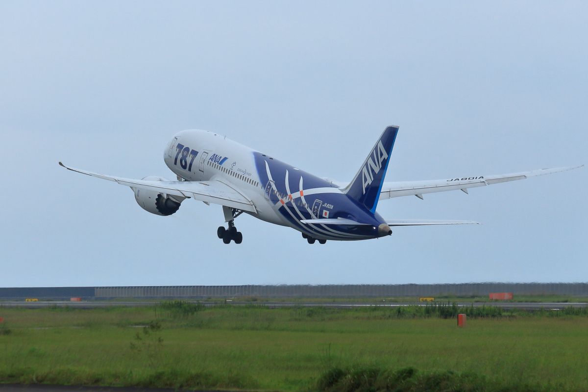 B787初号機宮崎空港にやってきた | GANREF