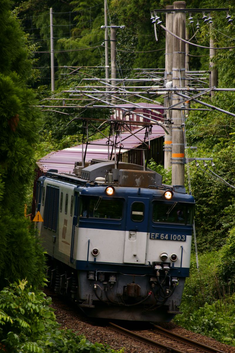 峠のシェルバさん専用 1e9b6d378535f0d3cc9daa9a5235c9