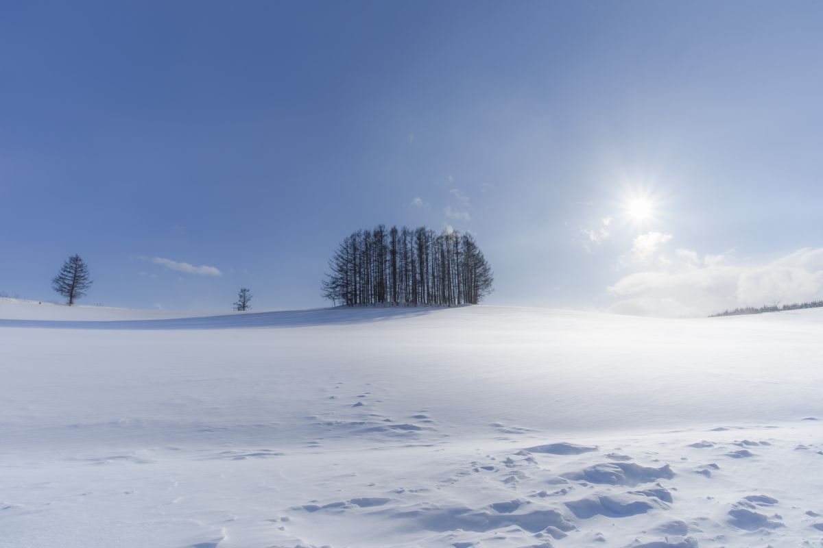 Winter lighting | GANREF
