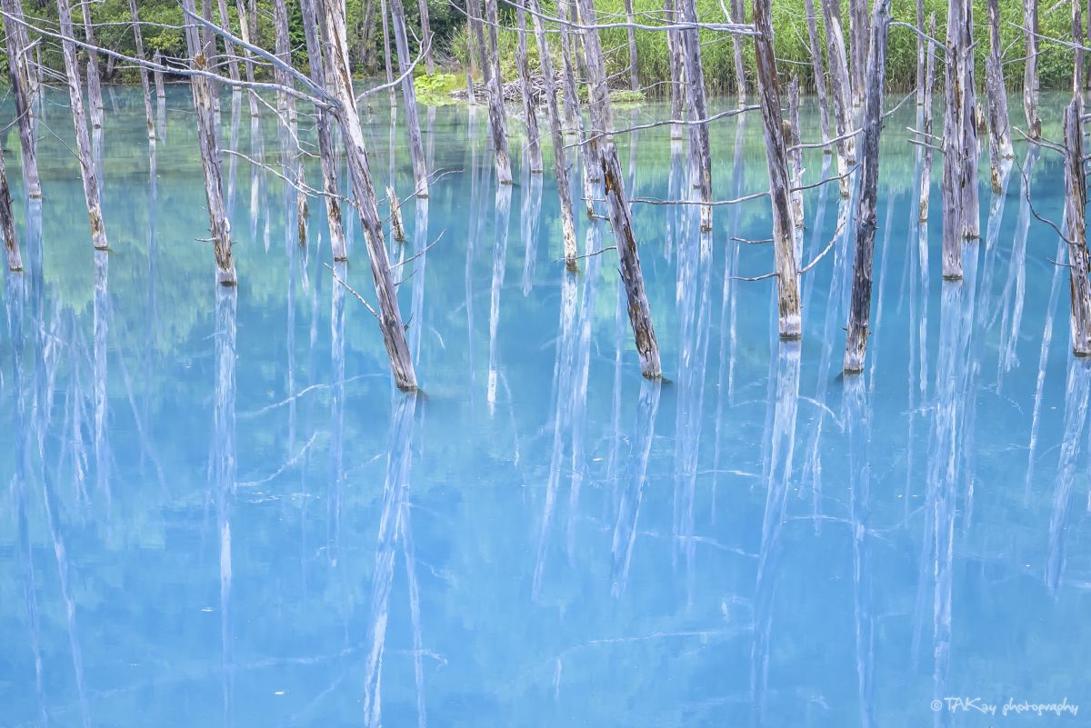 Beautiful Blue | GANREF