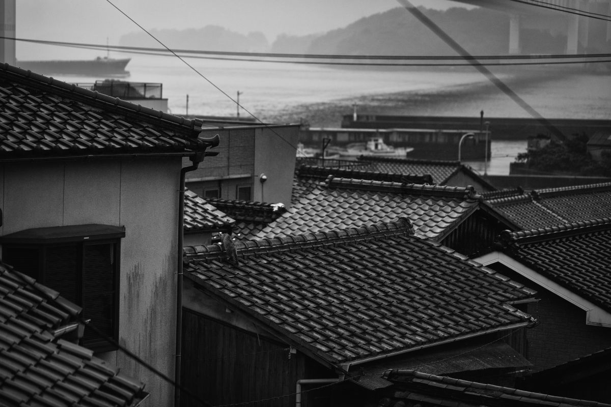 rain | GANREF