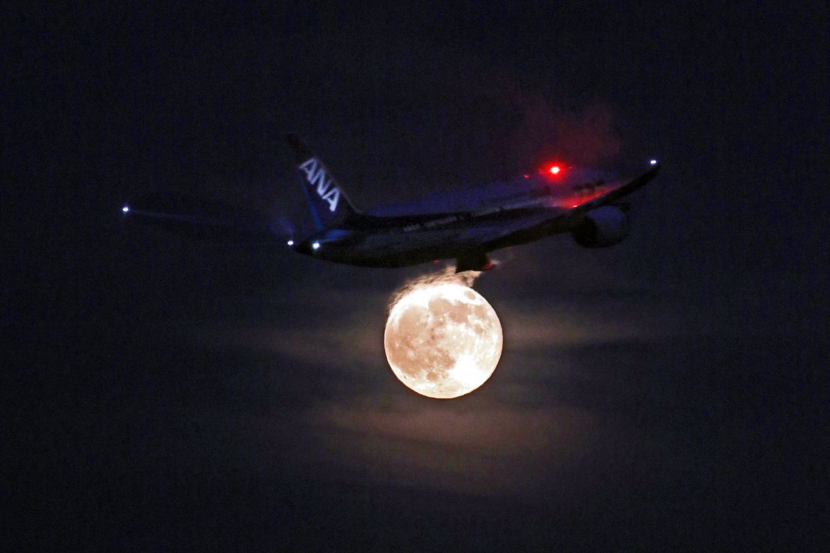 FULL MOON FLIGHT ANA | GANREF