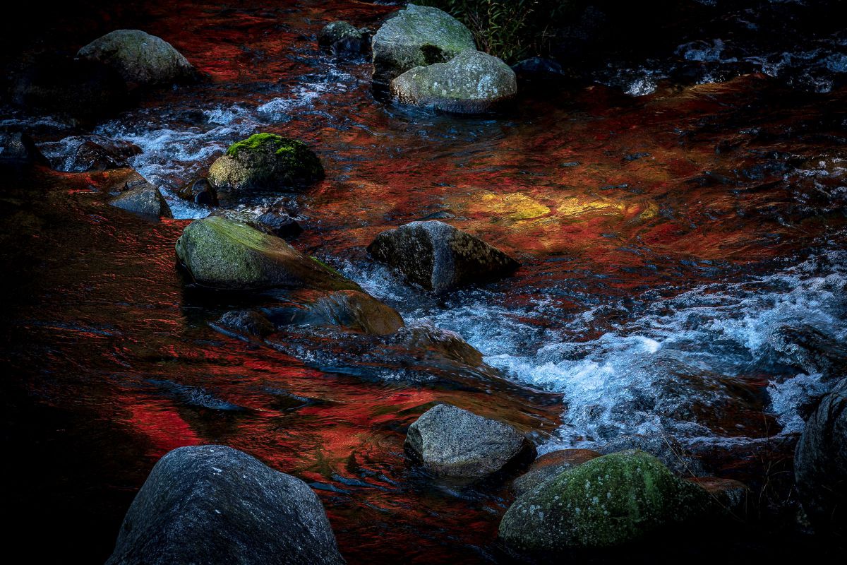 Autumn Flow | GANREF