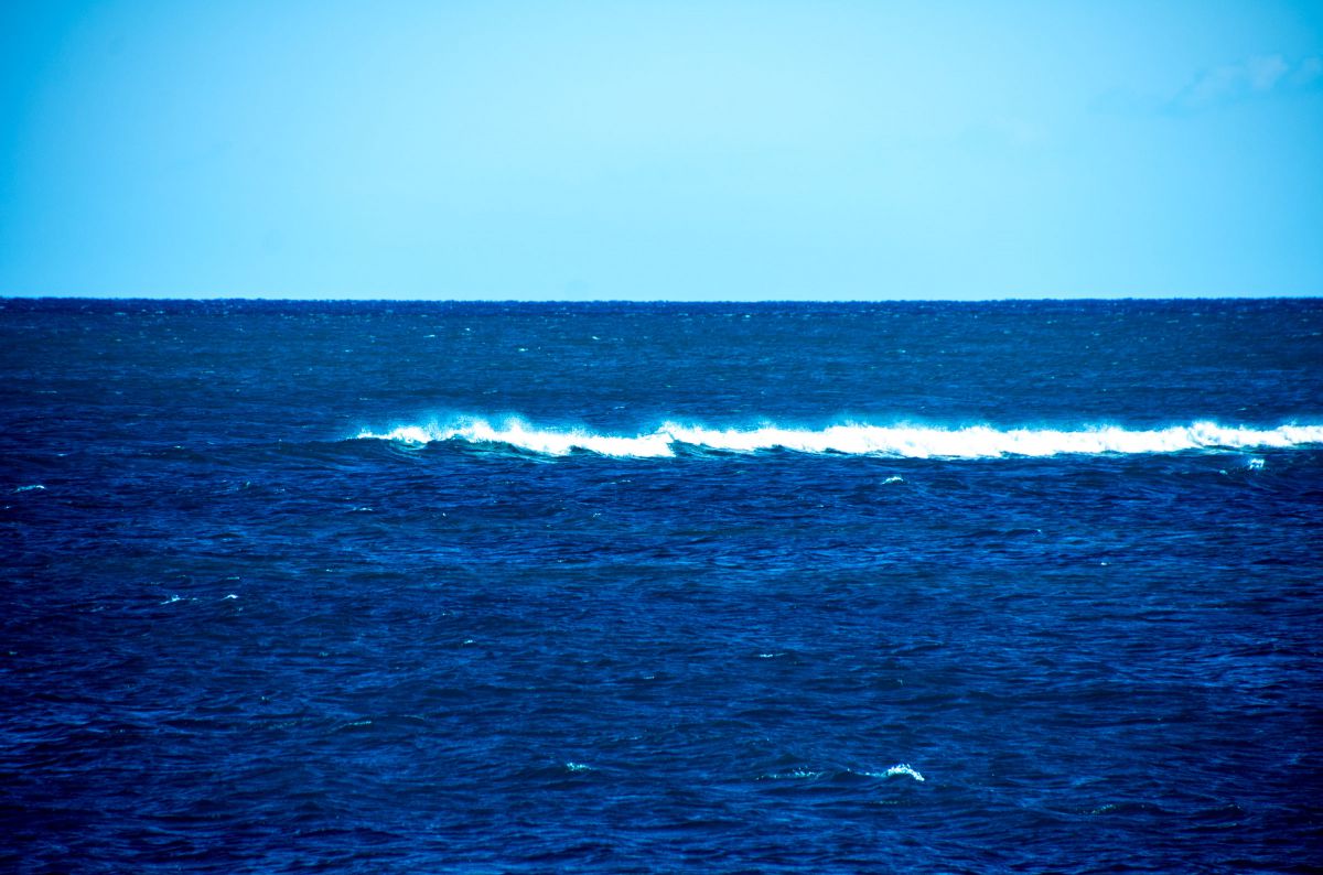 海が見たい！ GANREF