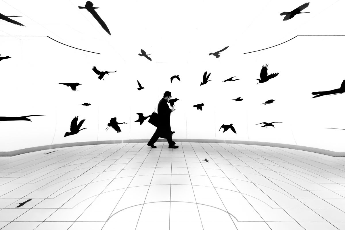 A man and birds | GANREF