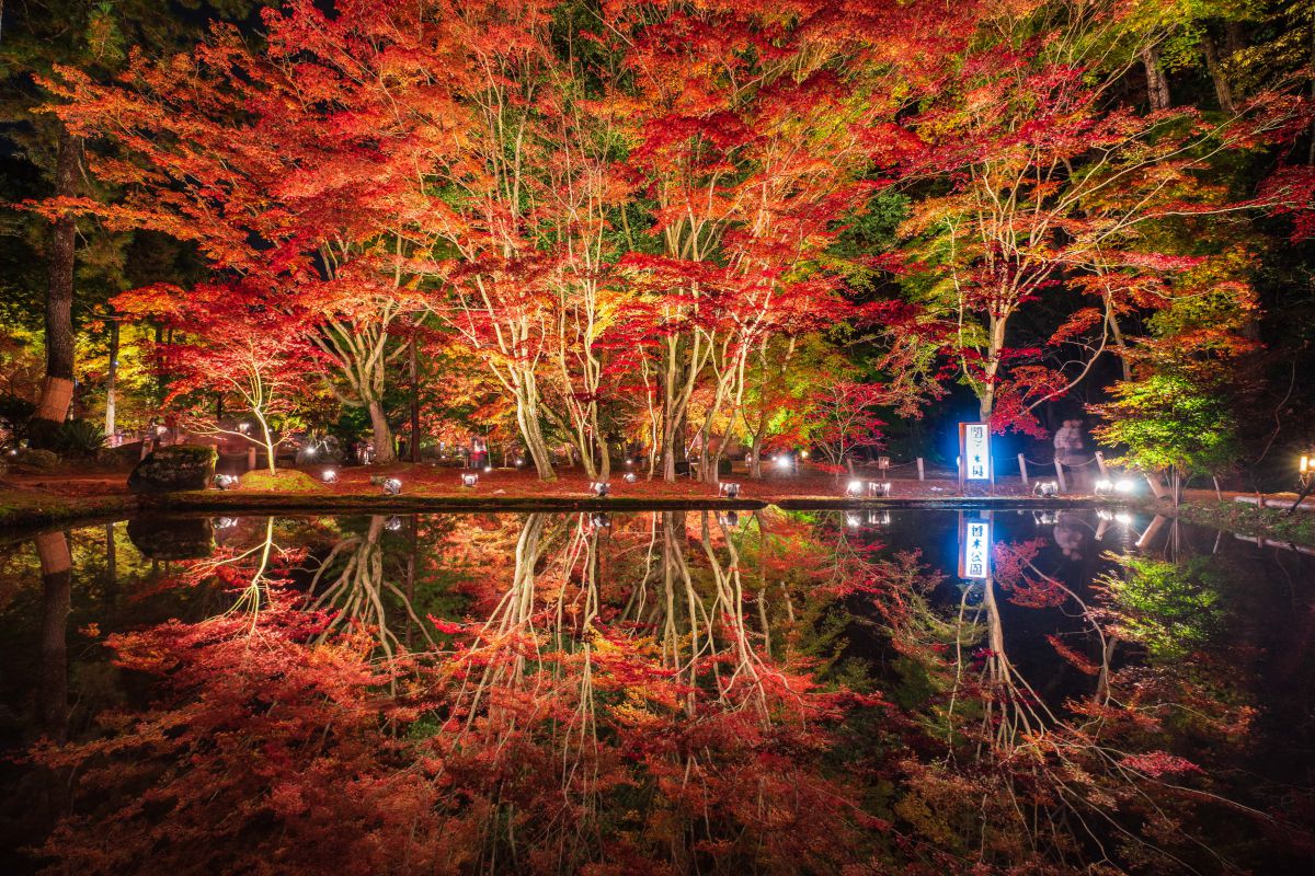 The autumn reflexion | GANREF