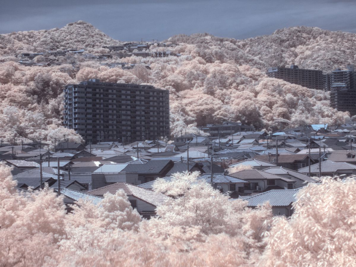 無題 | GANREF