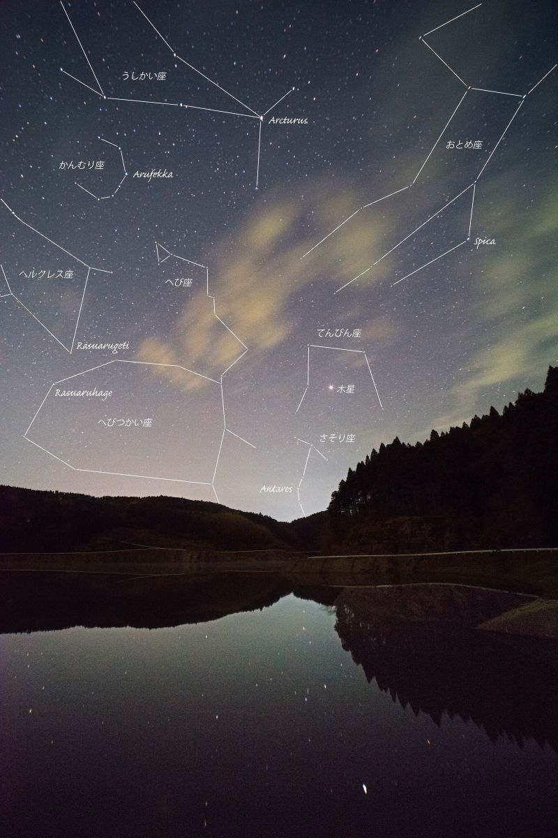 starry sky in spring | GANREF