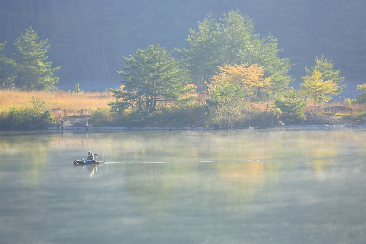 PEACEFUL | GANREF