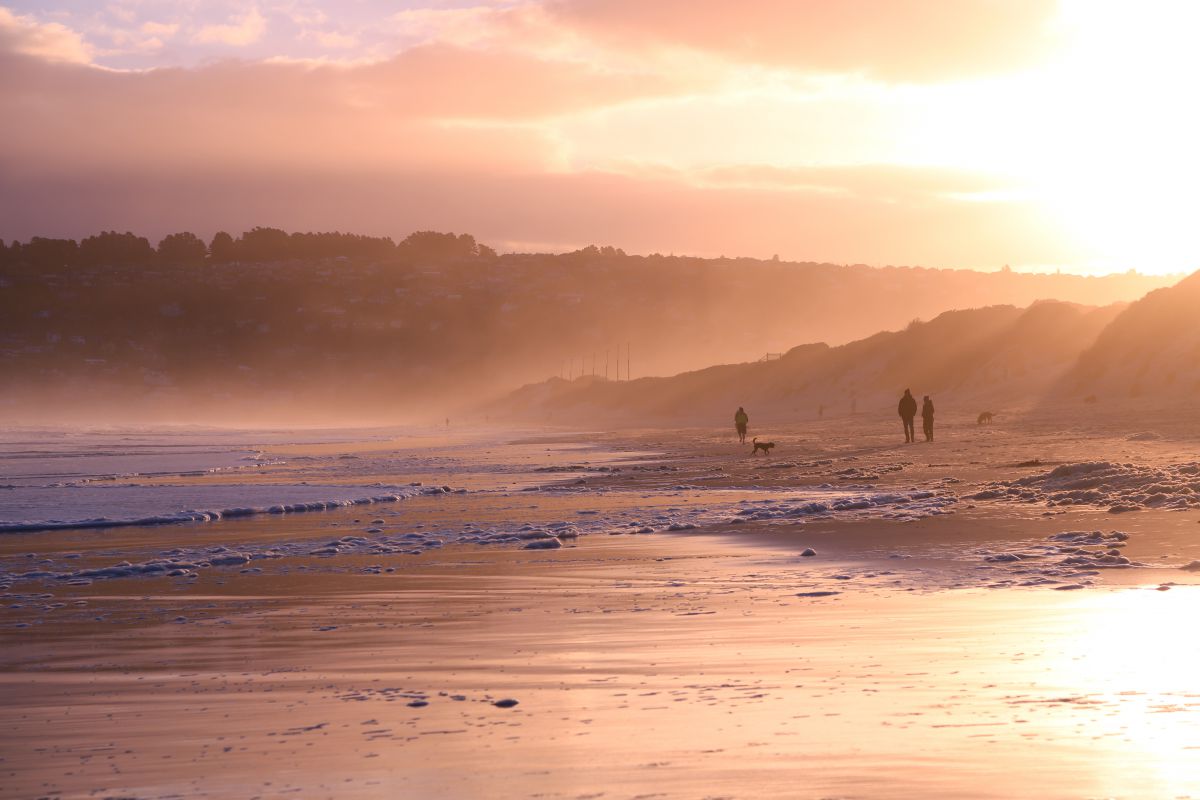 Beach | GANREF
