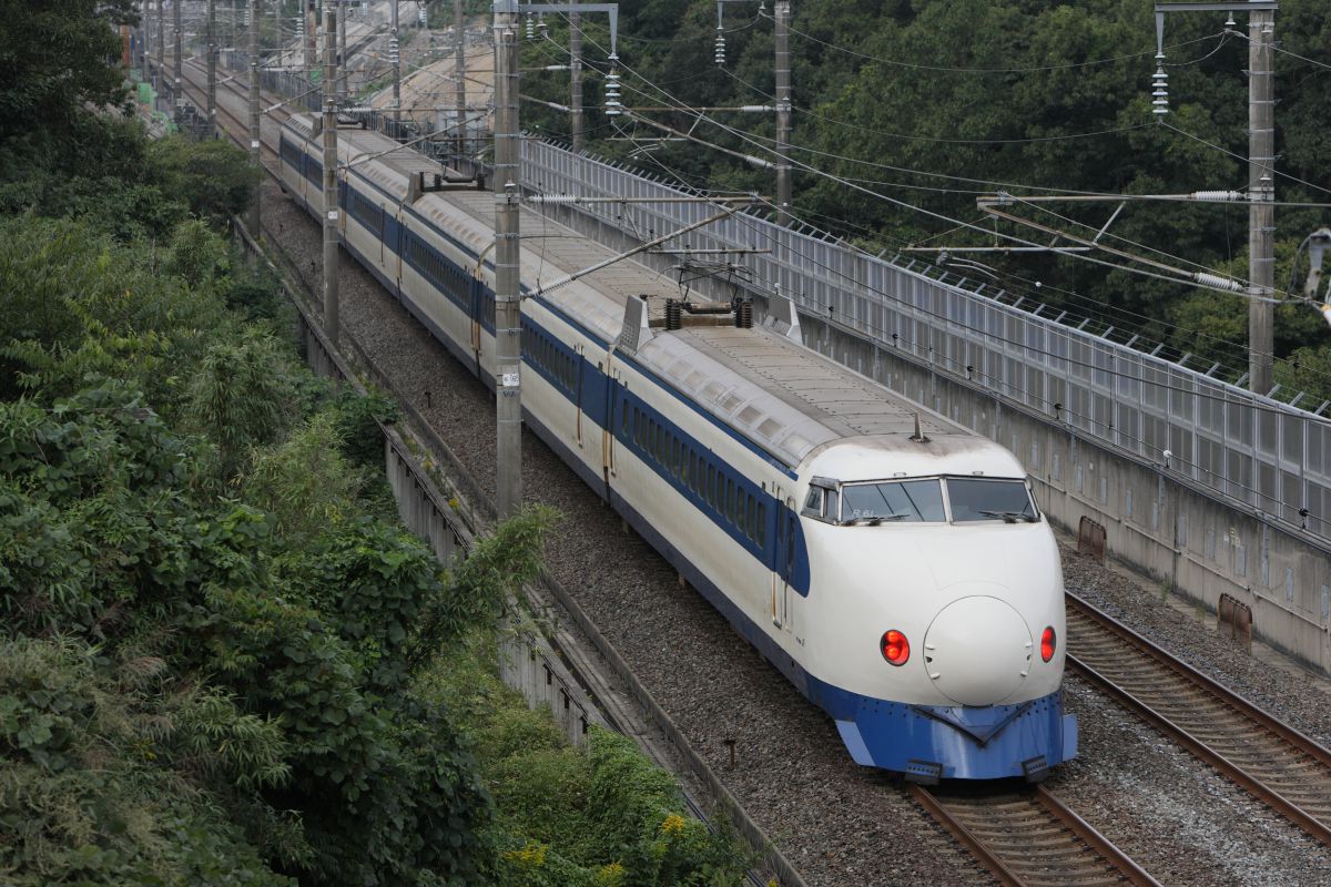 8139cfb8e149daf293528613818927
