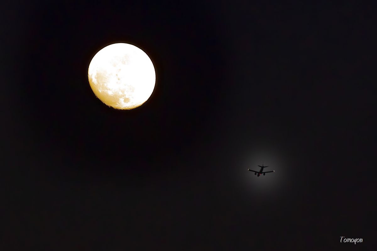 Trough The Moon | GANREF