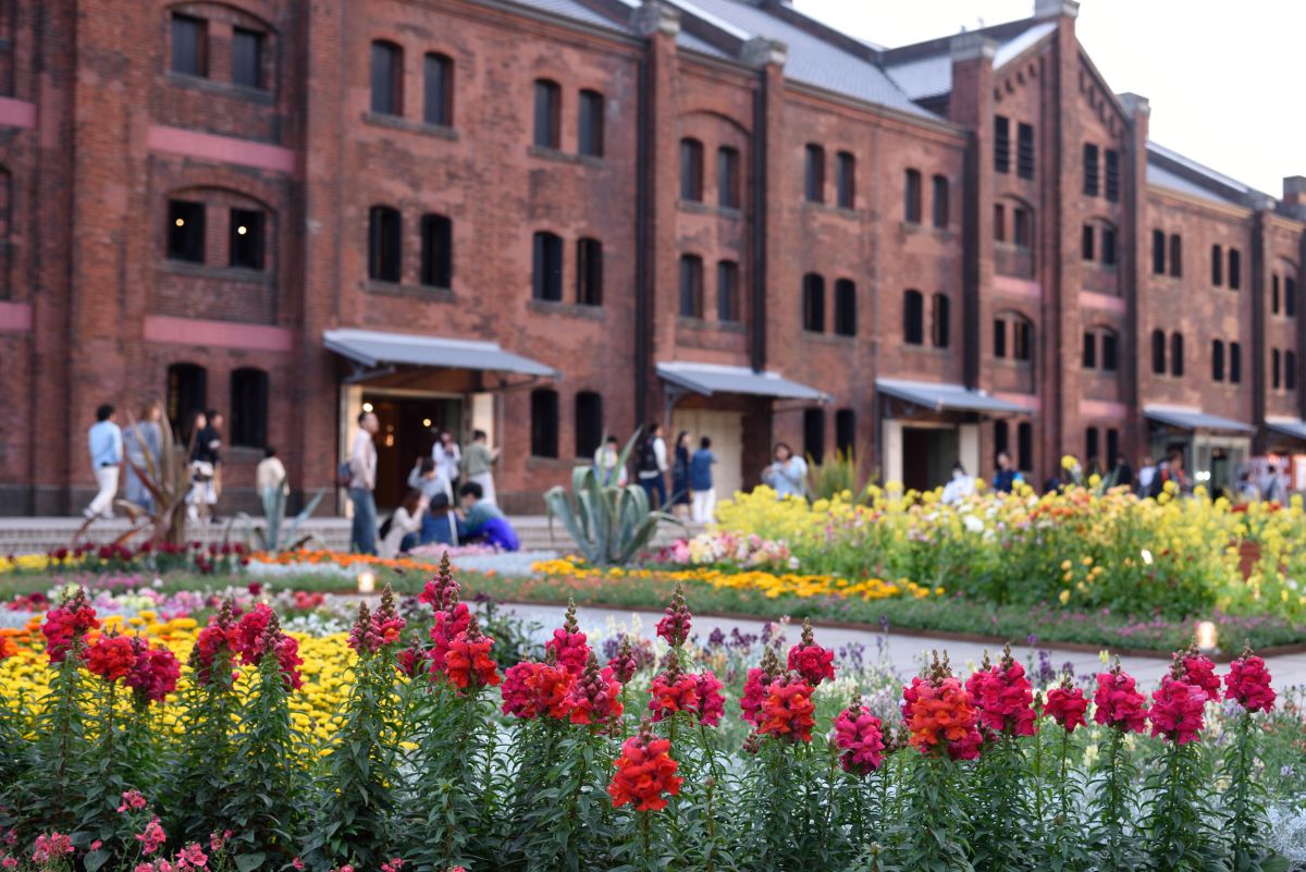 赤レンガの花畑 Ganref