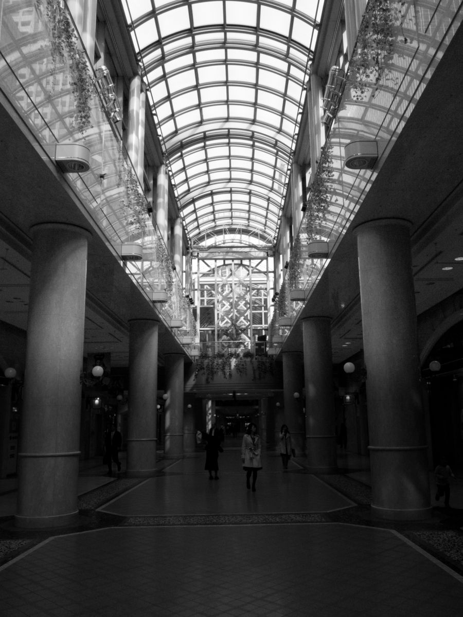 skylight-feat.running boy- | GANREF