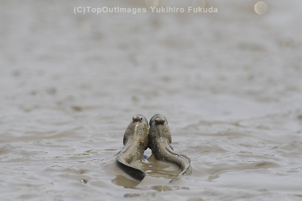 18fef5a42ca5b9fcb5a577b215143e