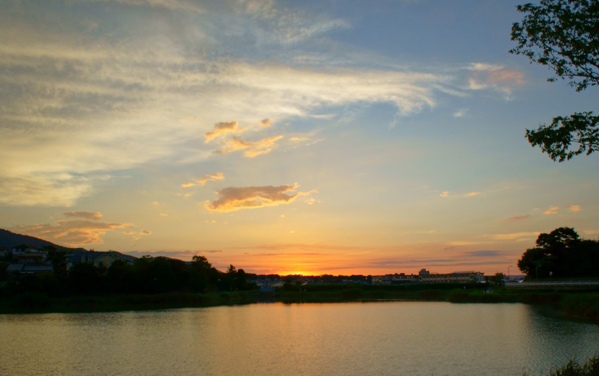 The sunset | GANREF