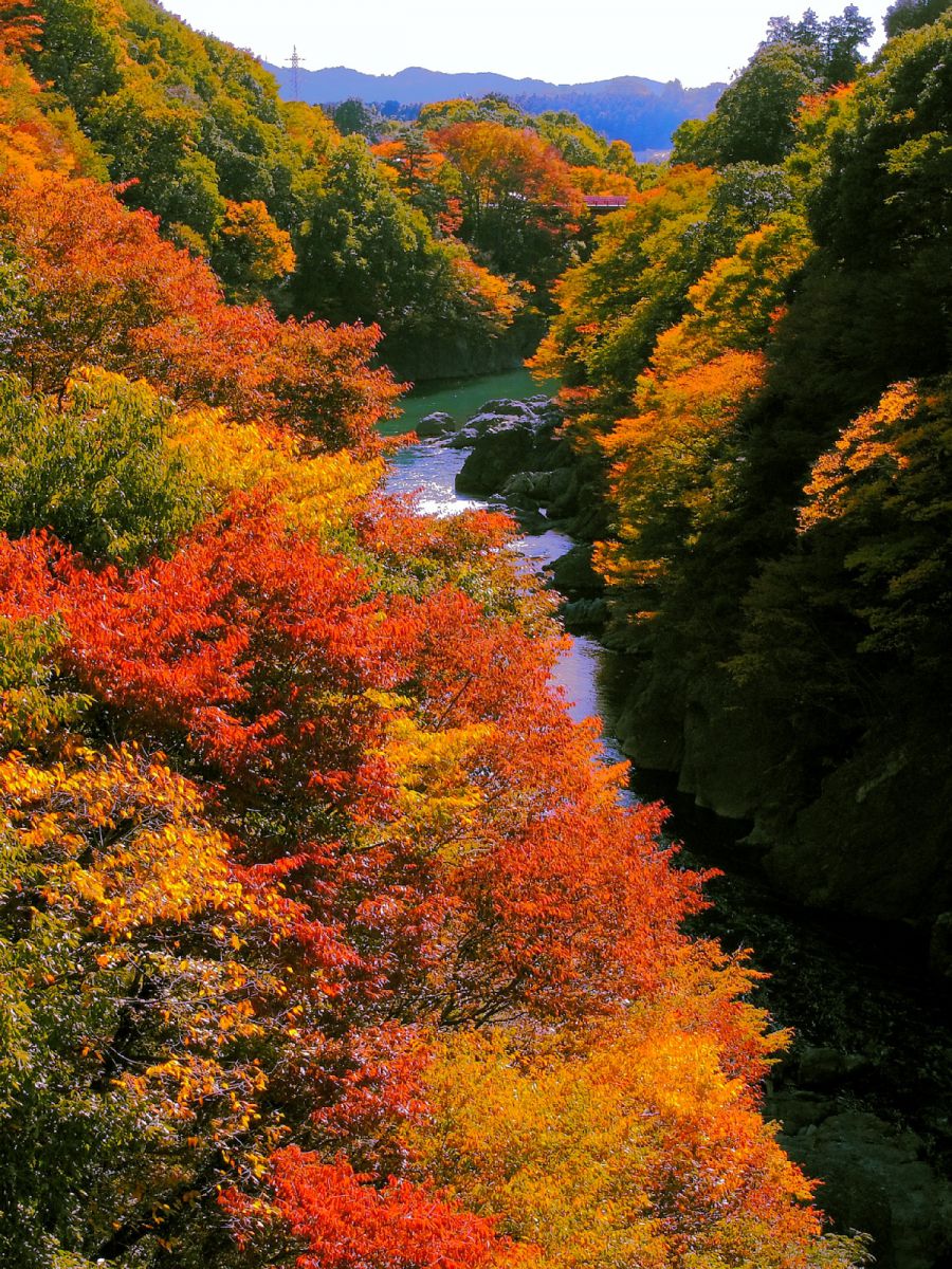 秋の高津戸峡 | GANREF