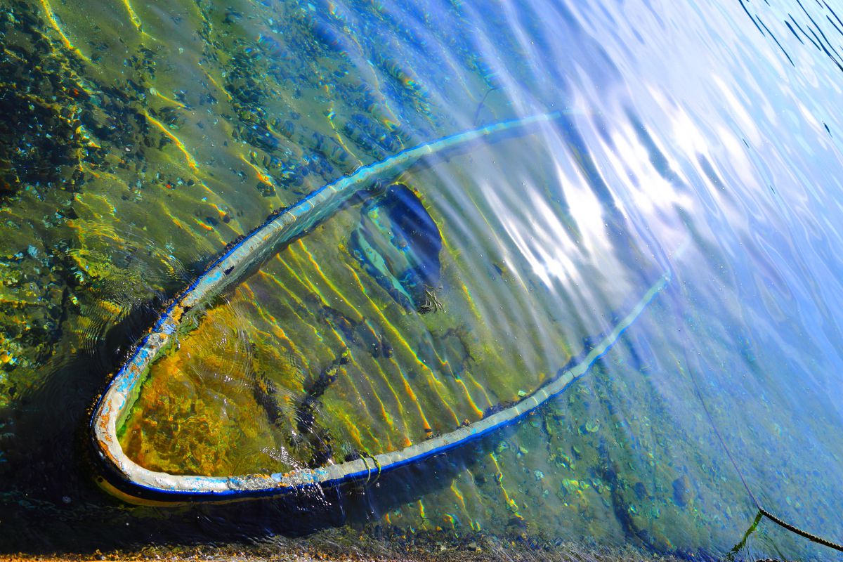 浅瀬の底から GANREF