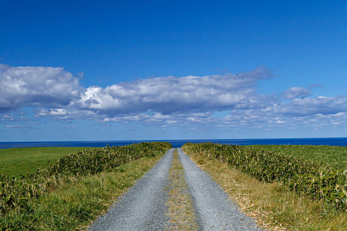 海へ続く道 GANREF