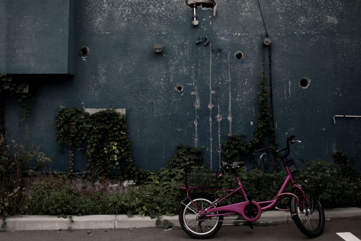 Pink | GANREF