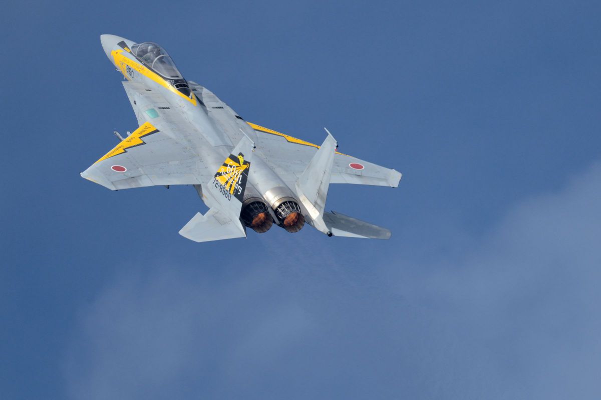 306飛行隊 航空自衛隊60周年記念塗装機 | GANREF