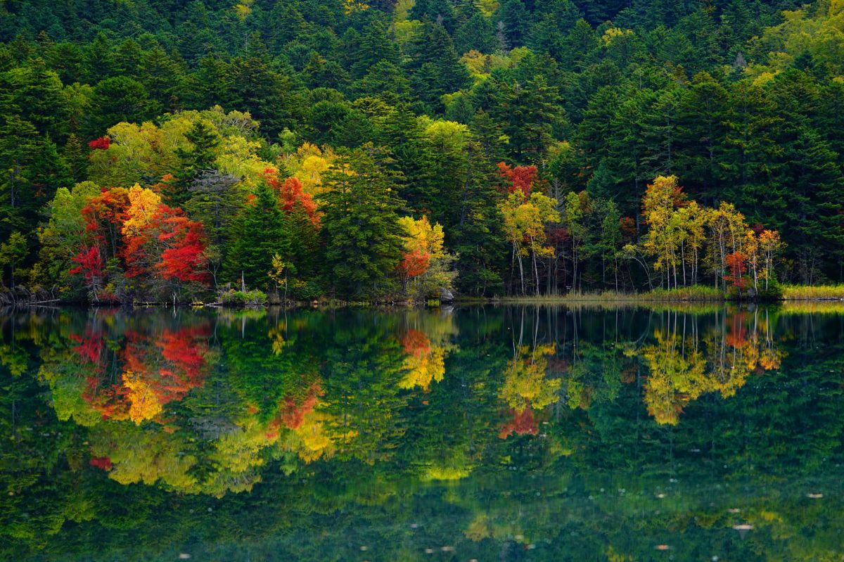 オンネトーの紅葉 | GANREF