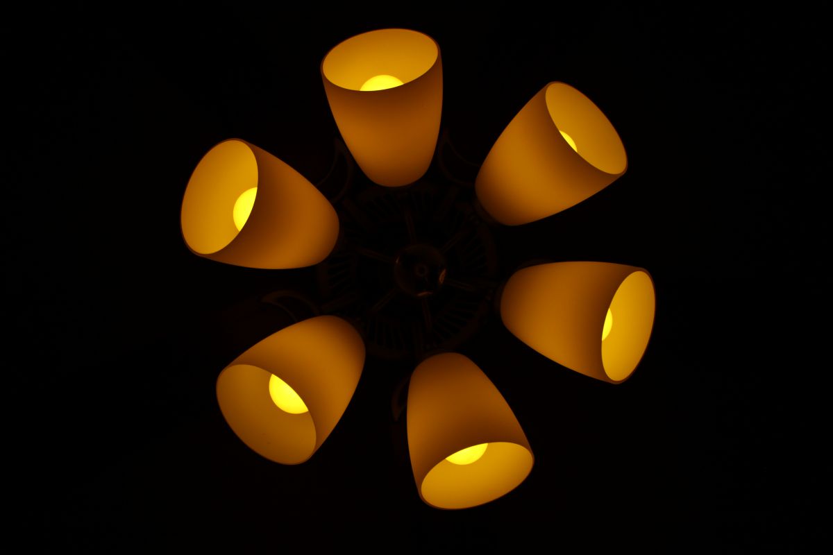 Light Flower | GANREF