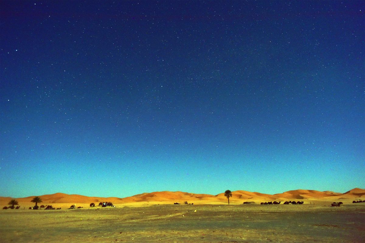 砂漠の夜 | GANREF