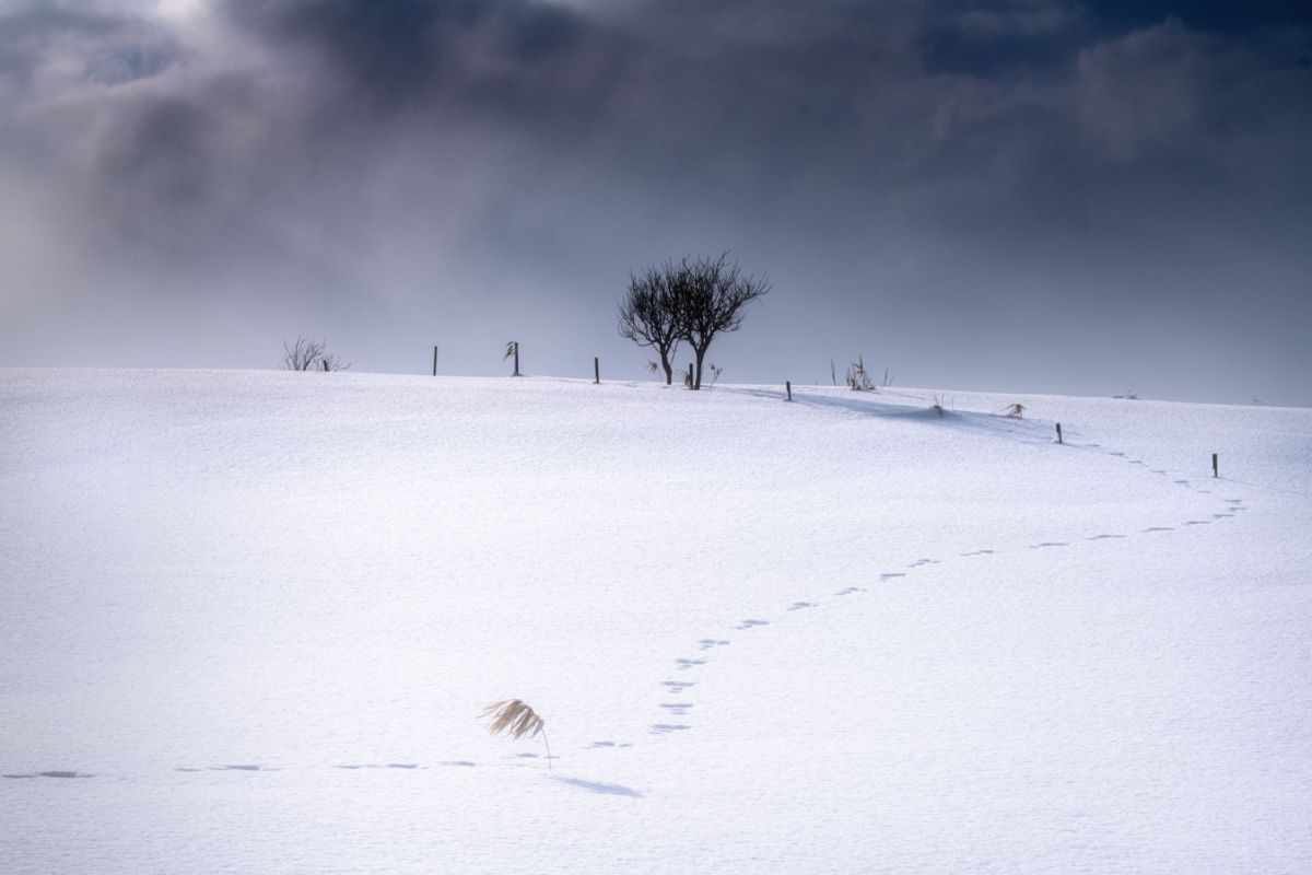 winter trail | GANREF