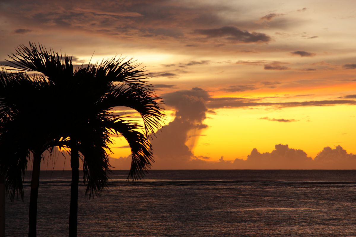Sunset | GANREF