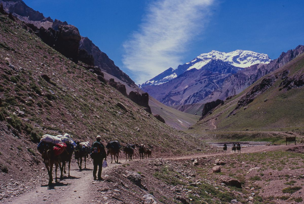 アコンカグアを目指す GANREF