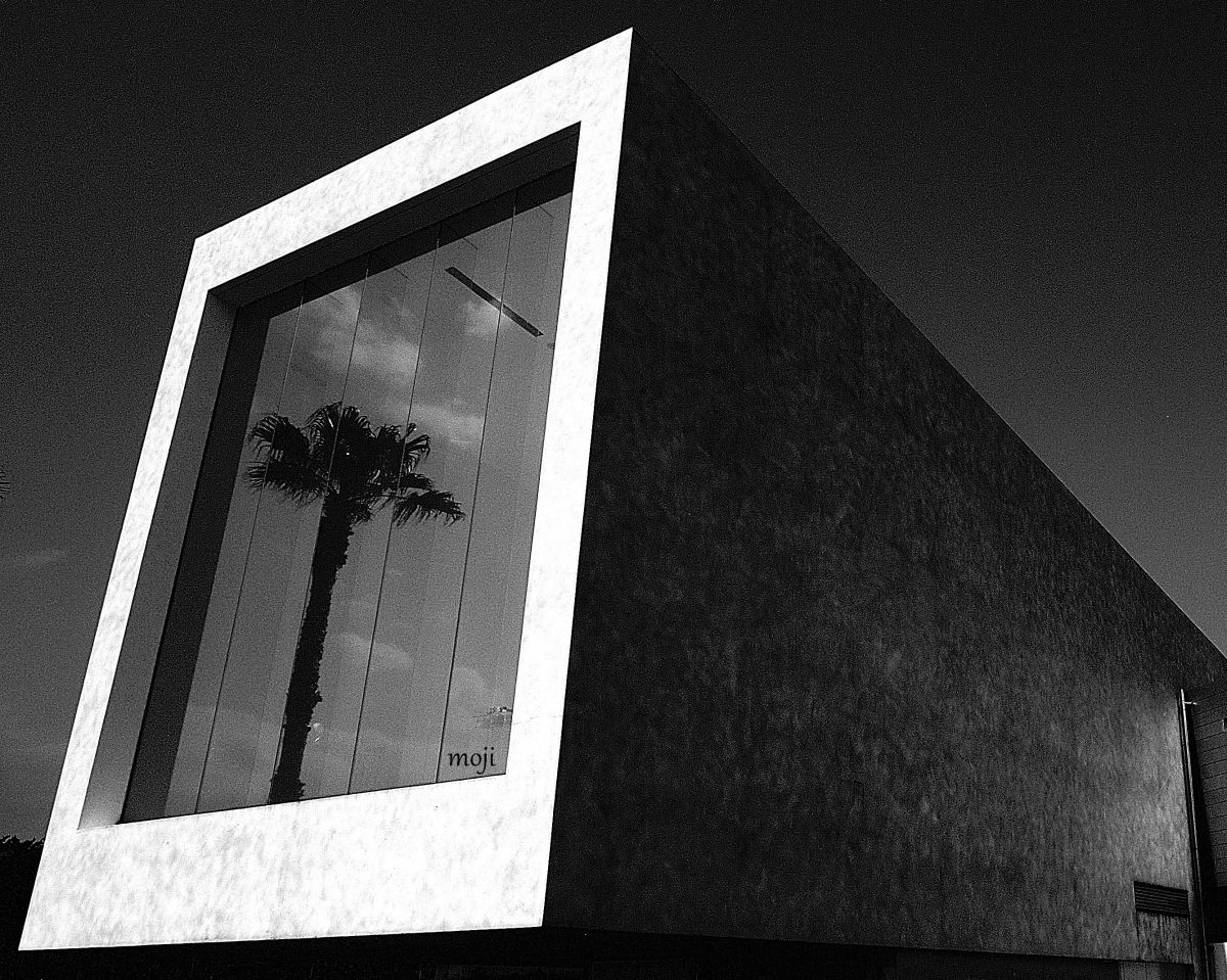 Reflection | GANREF