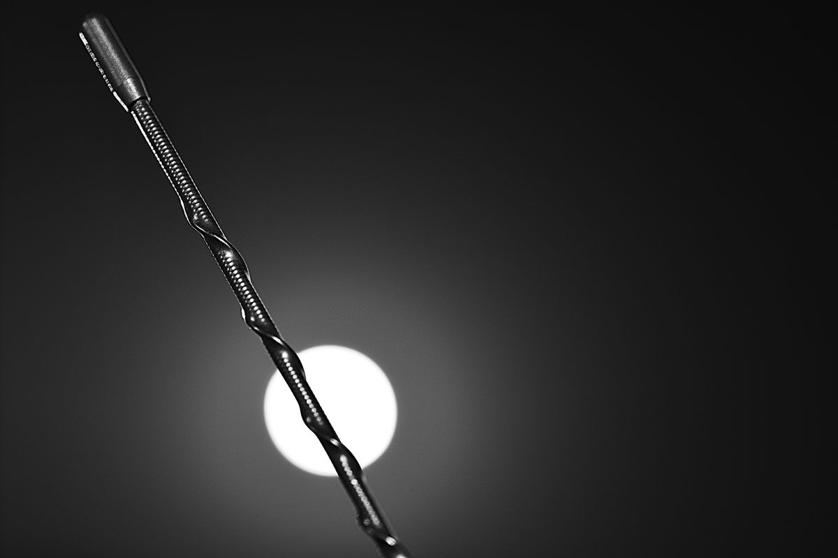 Blue Moon | GANREF