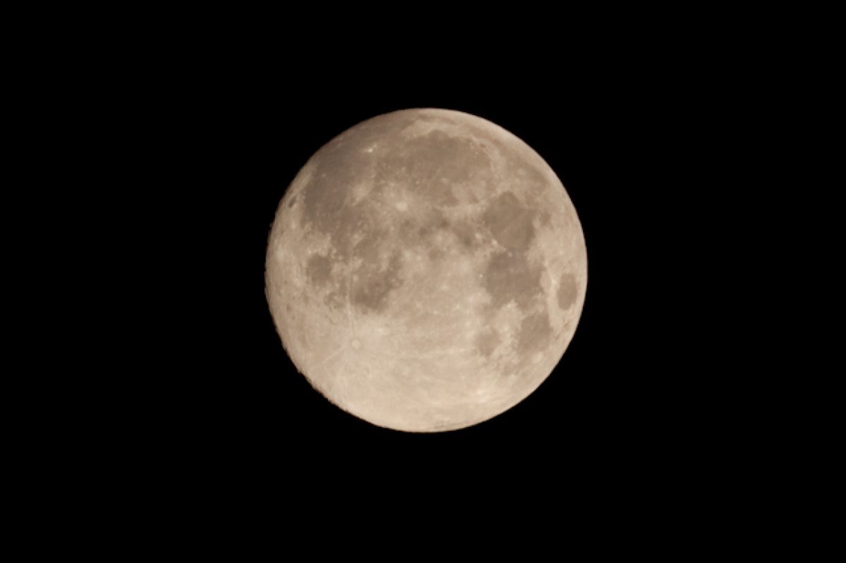 FULL MOON | GANREF