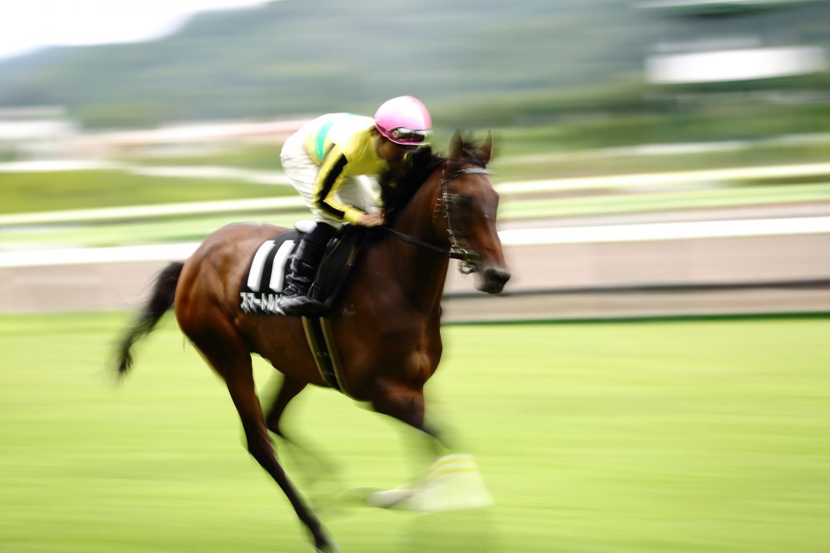 返し馬とは？2026年版・脚さばきや騎手との呼吸で好調馬を見抜く方法を徹底解説
