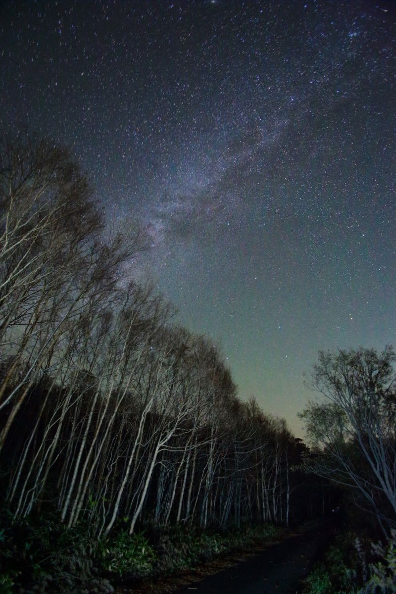秋夜空星 | GANREF